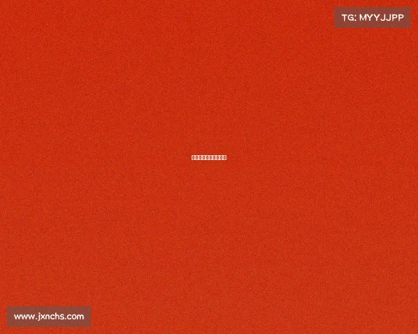 沧州引进体育赛事项目