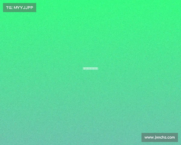 正规足球赛事用几号球