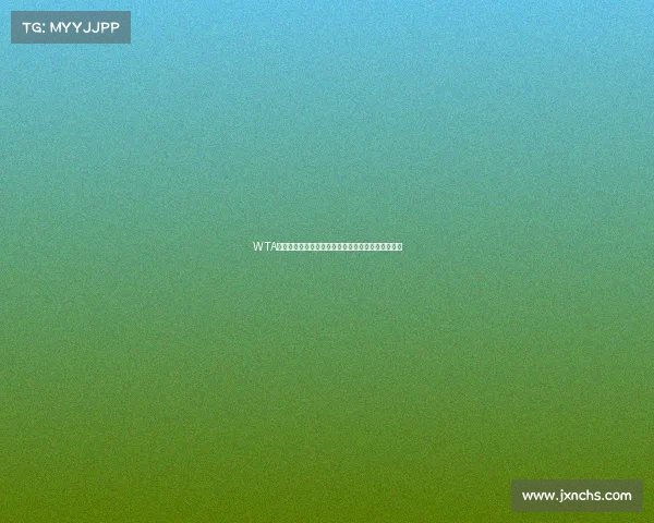 WTA全年赛事总数深度统计分析与未来发展趋势权威报告